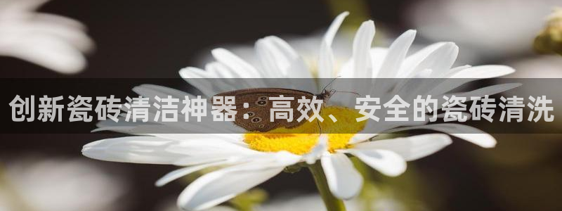 万事皆可娱乐的英语