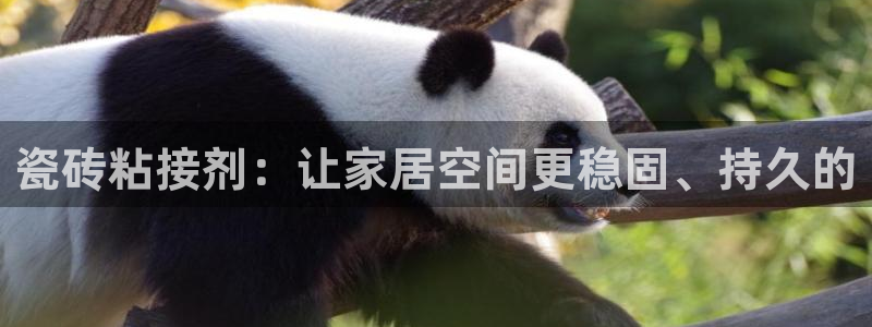 万事达娱乐筘55312