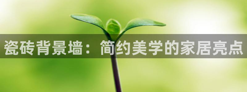 万事国际娱乐